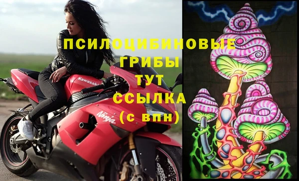 шишки Алзамай