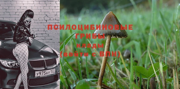 сатива Абдулино
