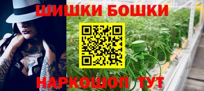 соль ск Партизанск
