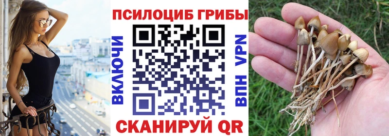 купить закладку  мега маркетплейс  Галлюциногенные грибы Psilocybe  Кумертау 
